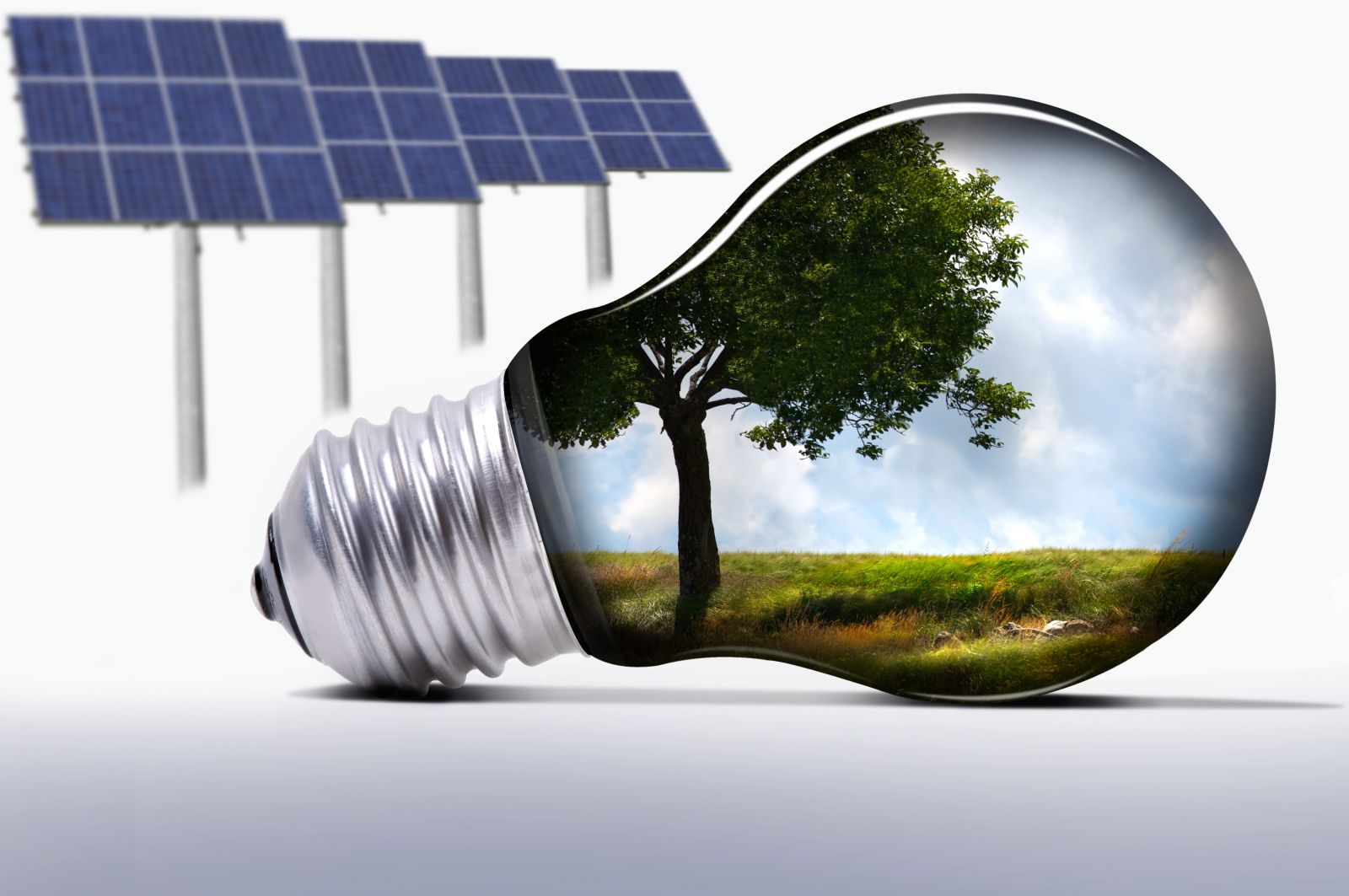 Solar Bear Roofing Images